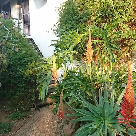 41 Ridge- Self Catering Cottages Midrand Exterior foto