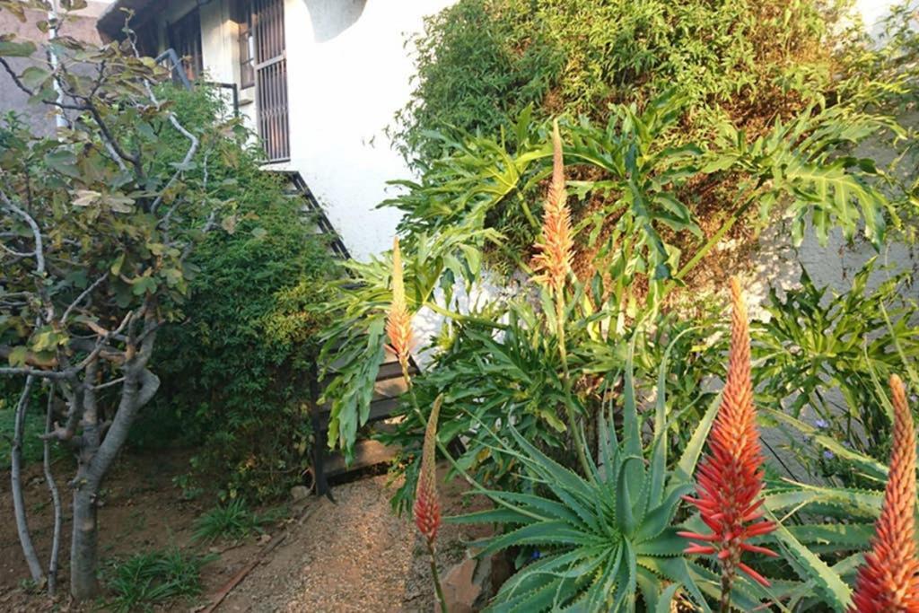 41 Ridge- Self Catering Midrand