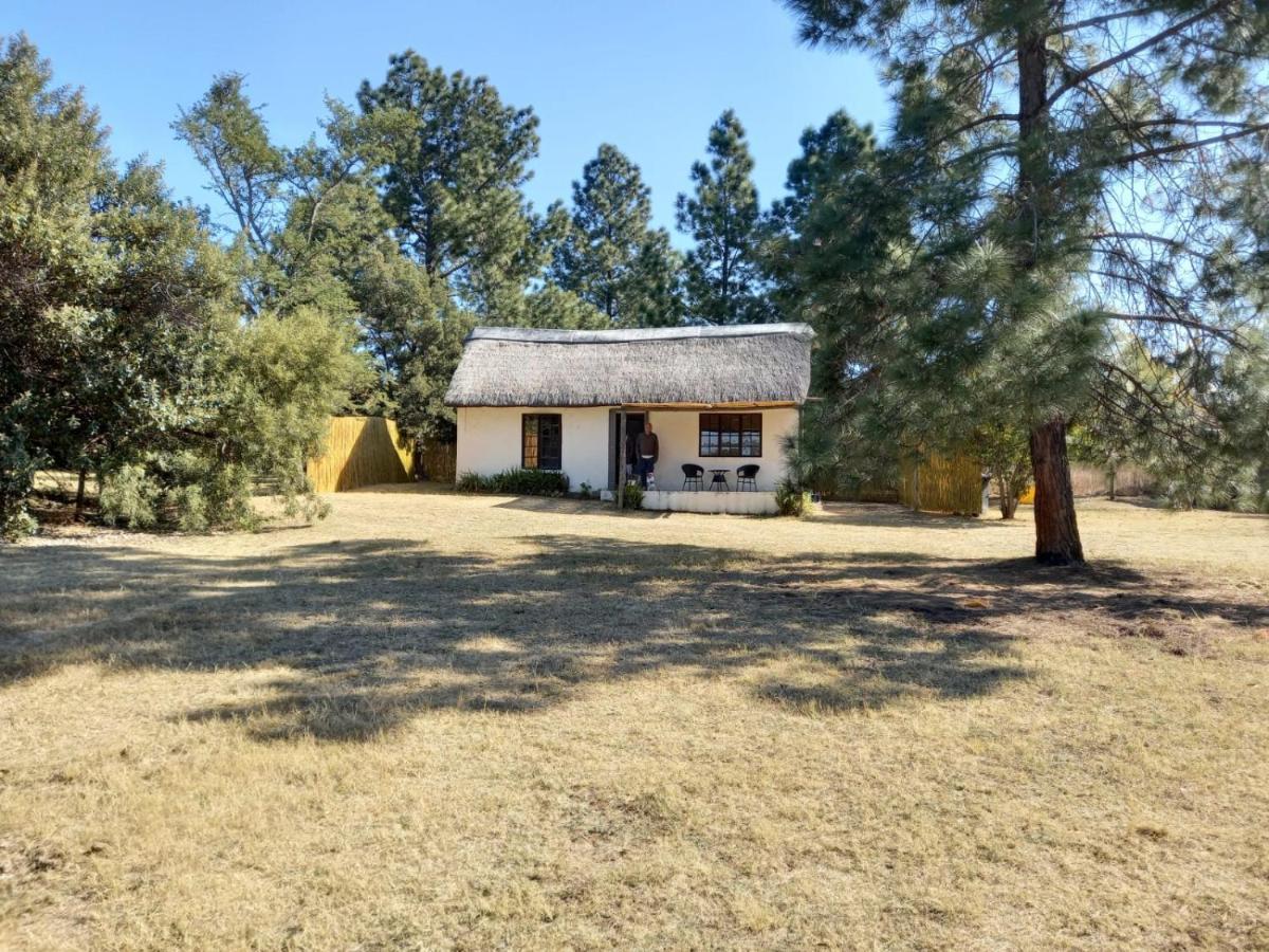 41 Ridge- Self Catering